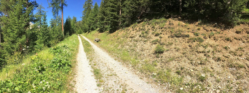 . Tschierv, Ofenpass, Graubnden, Schweiz d. 20 juli 2020. Fotograf; Emil Bjerregrd