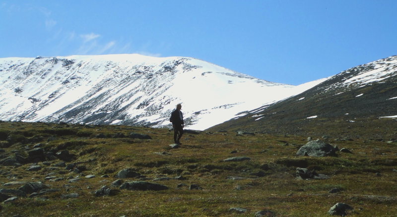 Lars Andersen p fotojagt. Lapporten, Abisko, Tornetrsk, Sverige d. 27 juni 2008. Fotograf: Sif Larsen