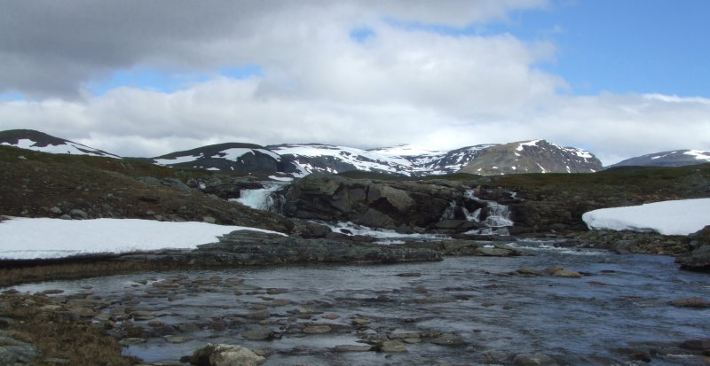 Renvaktarstugan, Bihppas, Sapmi/Lappland, Sverige. d. 6 juli 2008. fotograf: Sif Larsen