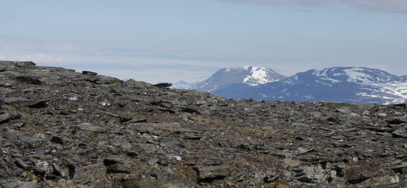 Gohpascorru toppen 1304 m.h. Sapmi/Lappland, Sverige. d. 9 juli 2008.Her har  fotografen: Lars Andersen set Dvrgperlemorsommerfuglen tilbage i 1985!