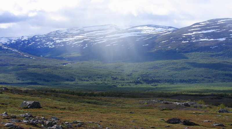 Lokalite for Fjeldhsommerfugl, Colias werdandi. Lapporten, Abisko d. 27 Juni 2008. Fotograf: Lars Andersen