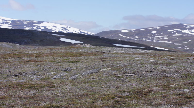 Bihppas, Sapmi/Lappland, Sverige. d. 2 juli 2008. fotograf: Lars Andersen