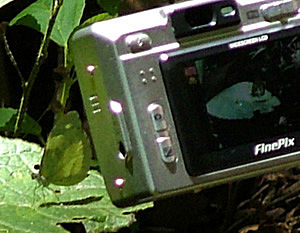 Coroico, Yungas, Bolivia d. 1 januar 2005. Fotograf: Lars Andersen