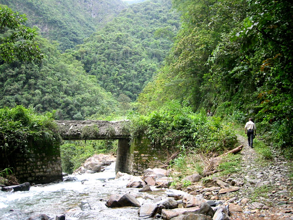 Vejen til Yungas fra La Paz, Bolivia d. 14 januar 2004. Fotograf: Peter Mllmann