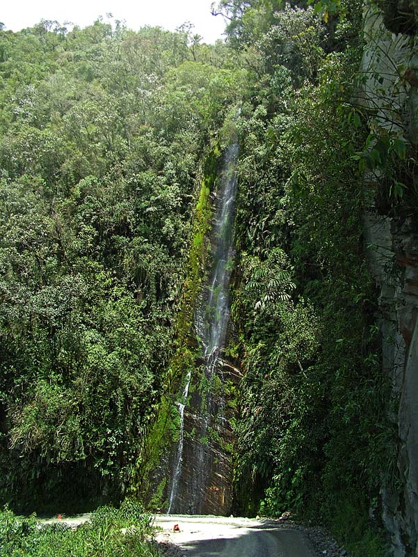 Cascades de Sacremento Alto, el camino de la muerte, trip from Esmeralda Hotel, Coroico 2000 m., Yungas, Bolivia d. 6 jauary 2005. Photographer: Lars Andersen