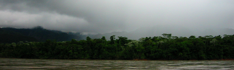 Rio Beni tt p Rurrenabaque 350 m.h. Bolivia d. 22 januar 2004. Fotograf: Peter Mllmann