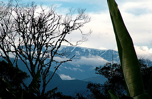 Udsigten fra vores altan i Coroico, Yungas, Bolivia d. 7 januar 2005. Fotograf: Lars Andersen