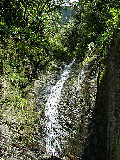 Vejen imellem Unduarvi og Yolosa, Yungas, Bolivia d. 3 januar 2005. Fotograf: Lars Andersen