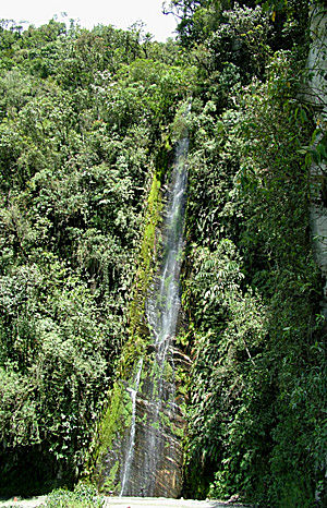 Vejen imellem Unduarvi og Yolosa, Yungas, Bolivia d. 3 januar 2005. Fotograf: Lars Andersen