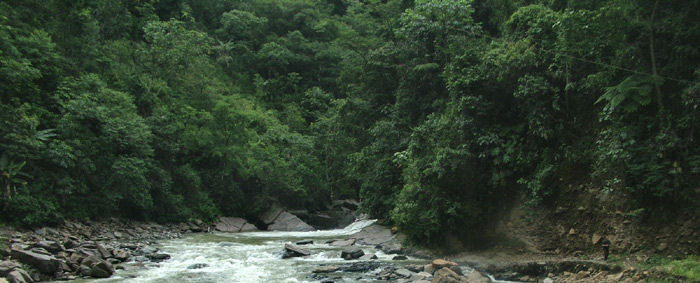 Yungas, Bolivia d. 11 januar 2005. Fotograf: Annelie B. Nielsen