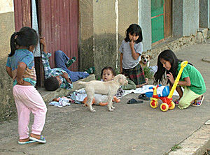 Brn i Caranavi, Yungas, Bolivia d. 12 januar 2005. Fotograf: Lars Andersen