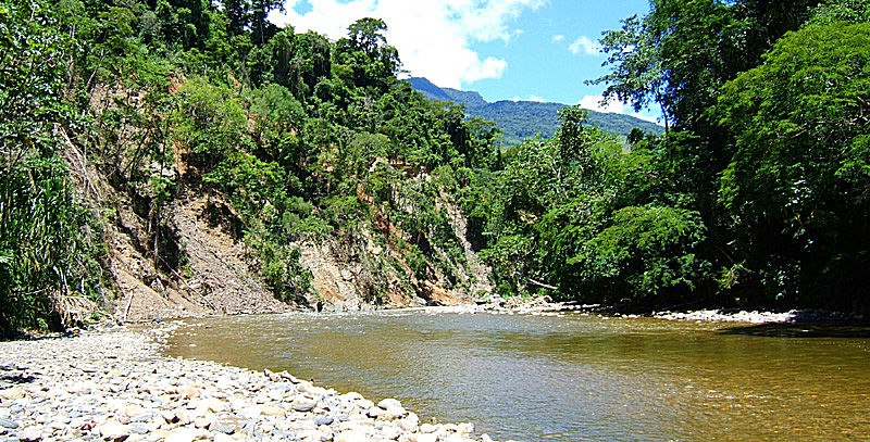 Rio Broncini, Yungas, Bolivia d. 14 januar 2005. Fotograf: Peter Møllmann