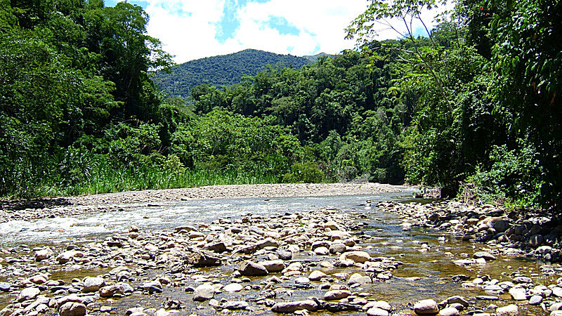 Rio Broncini, Yungas, Bolivia d. 14 januar 2005. Fotograf: Peter Møllmann