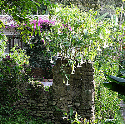 Coroico, Yungas, Bolivia d. 15 januar 2005. Fotograf: Lars Andersen