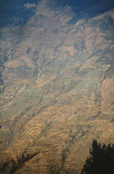 Dhunche, Langtang, Nepal i 2000 m. November 1995. Fotograf: Lars Andersen