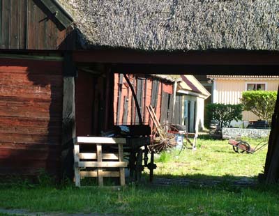 En grd fra Ktorp, Mittlandsskogen, d. 7 juni 2004. Fotograf Lars Andersen