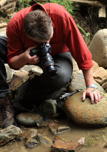 Michael Fernando photographer the Mountains Morphos, Morpho sulowskyi male. The old railroad / Kori Wayku inca trail, Yungas, elev. 2000 m. 23 February 2009. Photographer: Lars Andersen 