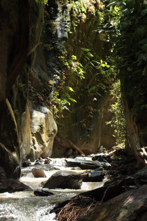 Rio Zongo,  between Caranavi and Guarnay, Yungas. d. 17 February 2009. Photographer: Lars Andersen