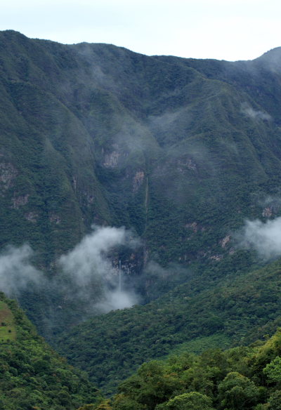 Suapi, Yungas, Bolivia. D. 20 February 2009. Photographer: Lars Andersen