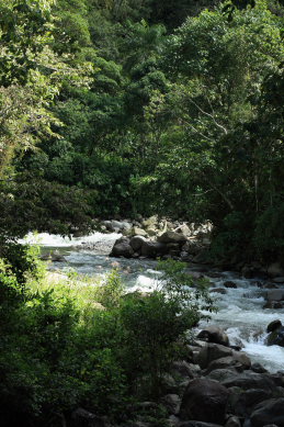 Suapi, Yungas, Bolivia. D. 21 February 2009. Photographer: Lars Andersen