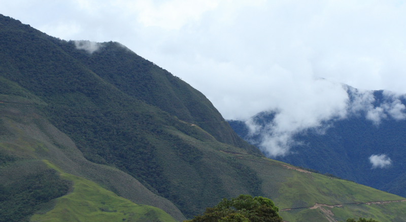 The old railroad / Kori Wayku inca trail, Yungas, elev. 2000 m. 23 February 2009. Photographer: Lars Andersen 