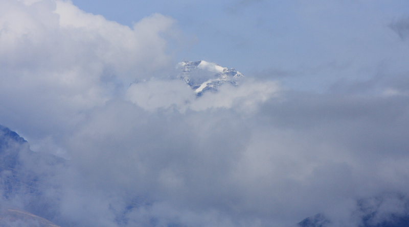 Coroico, Yungas, Bolivia. D. 21 February 2009. Photographer: Lars Andersen