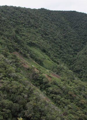 Santa Rosa de Quilo-Quilo, Yungas, Bolivia. D. 21 February 2009. Photographer: Lars Andersen