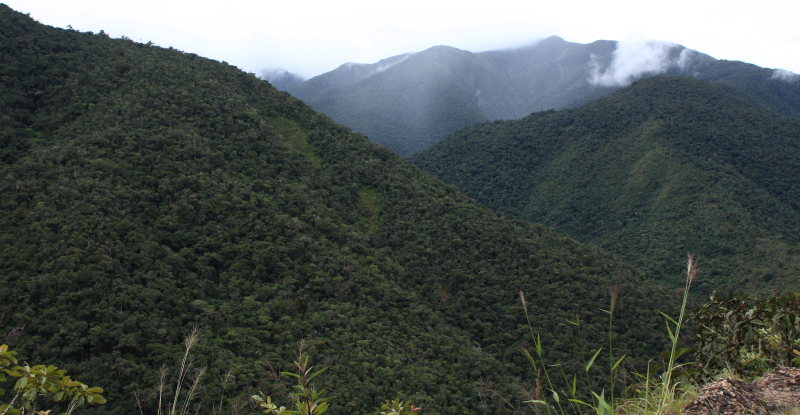 Santa Rosa de Quilo-Quilo, Yungas, Bolivia. D. 21 February 2009. Photographer: Lars Andersen