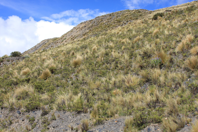 La Cumbre, La Paz, elev. 4300 m. d. 25 february 2009. Photographer: Lars Andersen