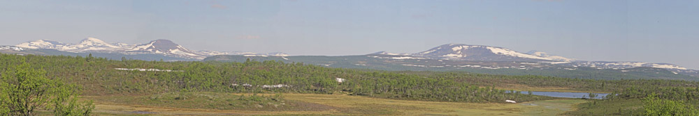 Mässlingen, Härjedalen, Jämtland, Sverige d. 17 juni 2020. Fotograf; Lars Andersen