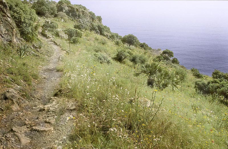 Lokalitet for Mrk Chokoladebredpande, Gegenes pumilio. Zingaro Nationalpark, Sicilien maj 2005. Fotograf;  Tom Nygaard Kristensen