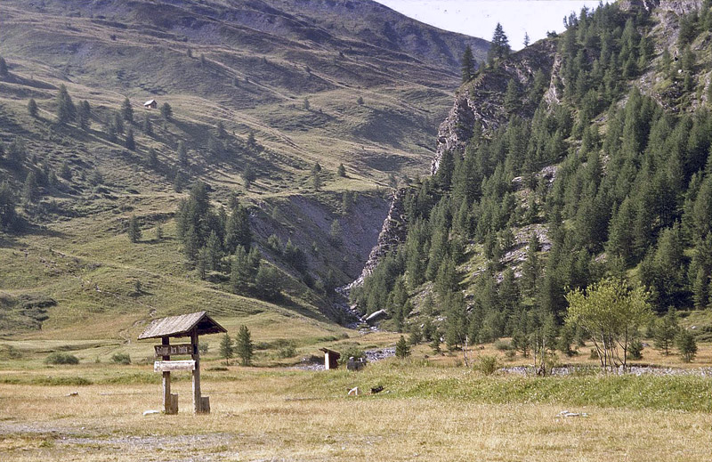 Mazauges, 700 m, Plan d'Aups, prov. Var, Frankrig d. 1 august 2007.  Fotograf; Tom Nygaard Kristensen 