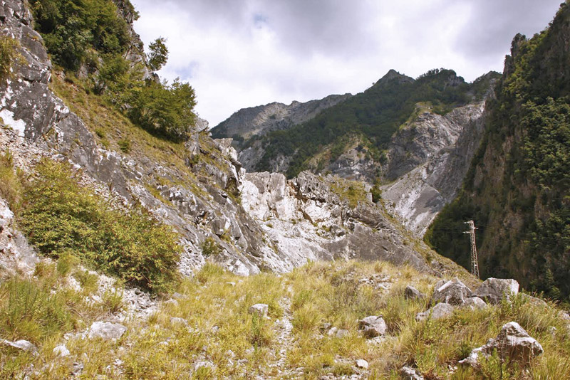 Sydlig Kålsommerfugl, Pieris mannii han. Mount Tambura, Apuan Alps d. 1 august 2011. Fotograf; Tom Nygaard Kristensen