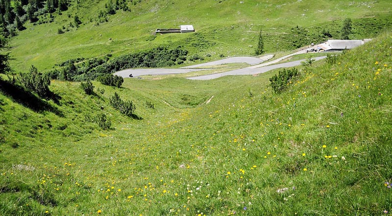 Albula Pas, Schweiz d. 10 juli 2015. Fotograf; Tom Nygaard Kristensen