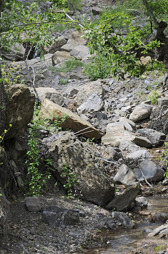 Lokalitet for Orientalsk Marmorbredpande, Carcharodus orientalis. Krim halvøen, Ukraine d. 25 maj 2008. Fotograf; Tom Nygaard Kristensen