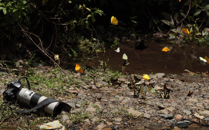 Lars Andersen forgot his camera on the bank to the other side of the river. Caranavi, Yungas, Bolivia d. 19 January 2010. Photographer; Lars Andersen