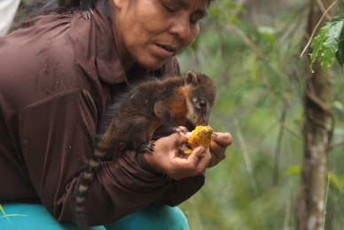 Caranavi, Yungas. d. 27 january 2010. Photographer: Lars Andersen