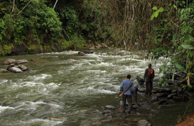 The Agrias riwerstream. Caranavi, Yungas. d. 27 january 2010. Photographer: Lars Andersen