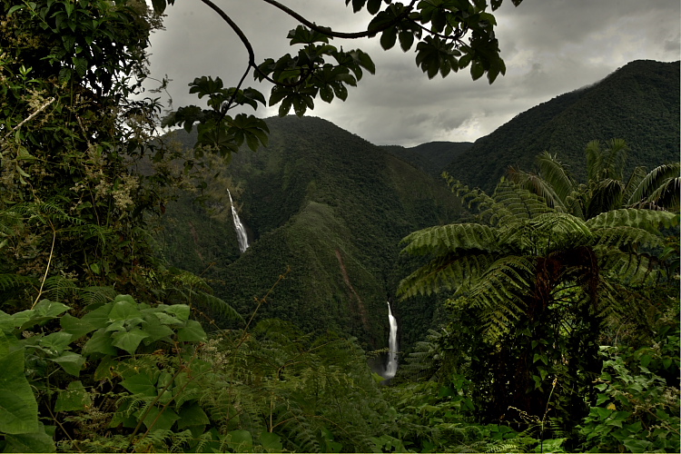 Caranavi, Yungas. d. 21 january 2010. Photographer: Lars Andersen