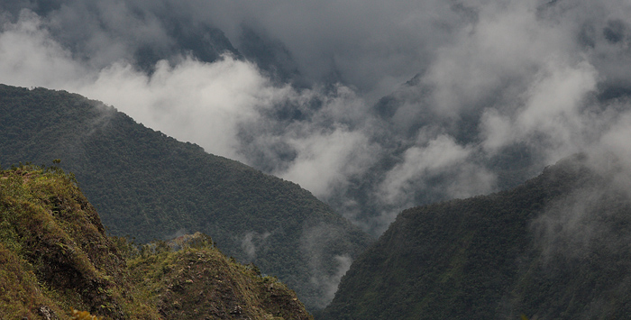 Locality for Mountains Morphos, Morpho sulowskyi. The old railroad / Kori Wayku inca trail, Yungas, elev. 2300 m. 1 February 2010. Photographer: Lars Andersen 