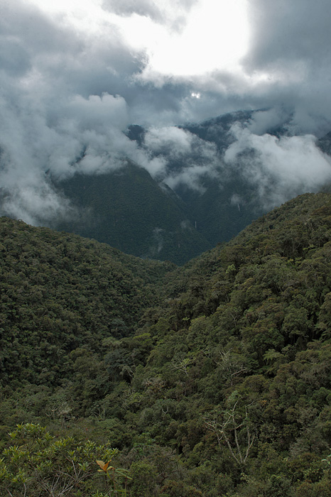 Kori Wayku inca trail, Coroico, Yungas. d. 2 February 2010. Photographer: Lars Andersen