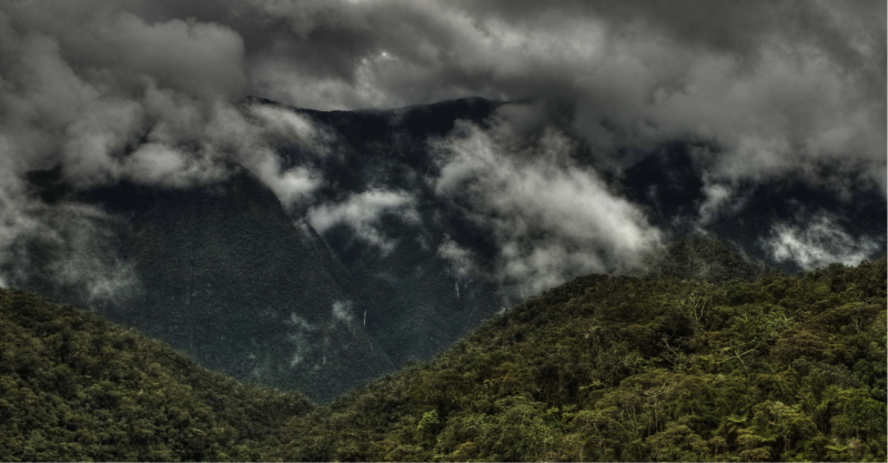 Kori Wayku inca trail, Coroico, Yungas. d. 1 February 2010. Photographer: Lars Andersen