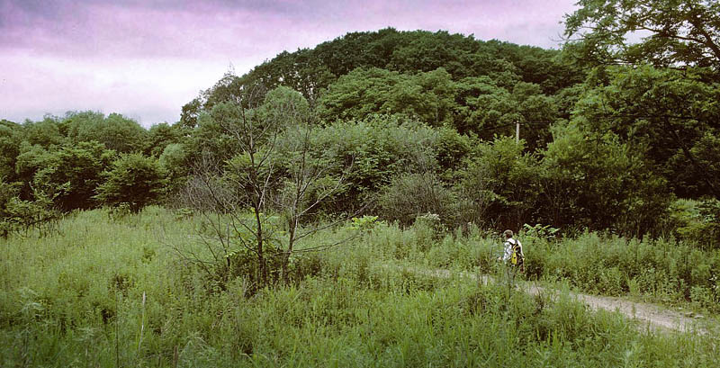 Lokalitet for Amur-Skovhvidvinge, Leptidea amurensis han. Vladivostok, Ussuri, Rusland. juli 2002. Fotograf; Tom Nygaard Kristensen