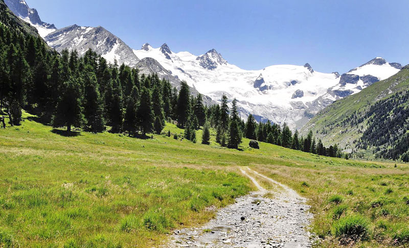 Val Roseg Elevation: 2000 m. Graubnden, Schweiz d 9 juli 2015. Fotograf; Tom Nygaard Kristensen