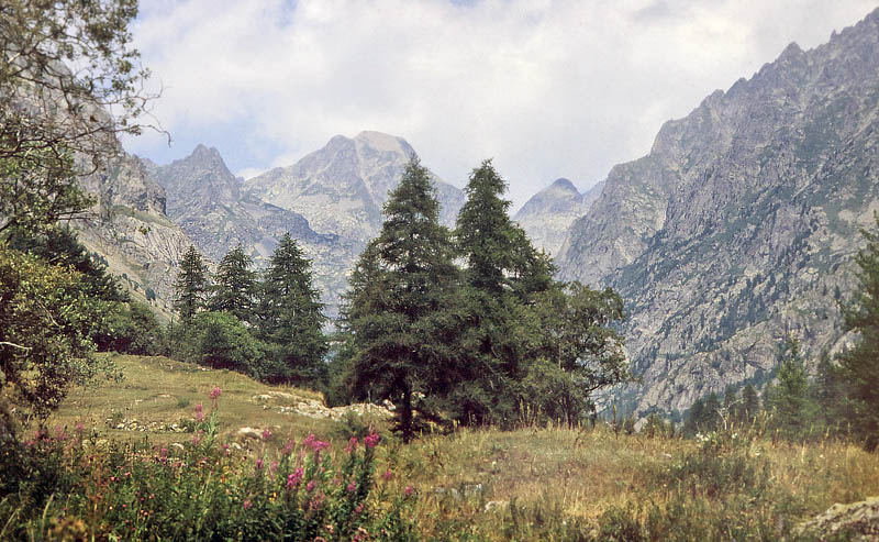 La Gordolasque-Vallon des Verrairiers, Alps Maritime, sydstlige Frankrig Primo august 1988. Fotograf; Lars Andersen