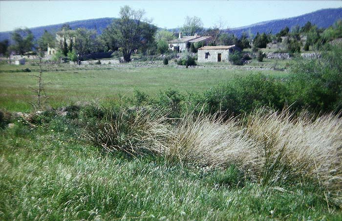 Lokalitet for Zerynthia polyxena, Ampus, Provence. Medio maj 1987. Fotograf: Lars Andersen