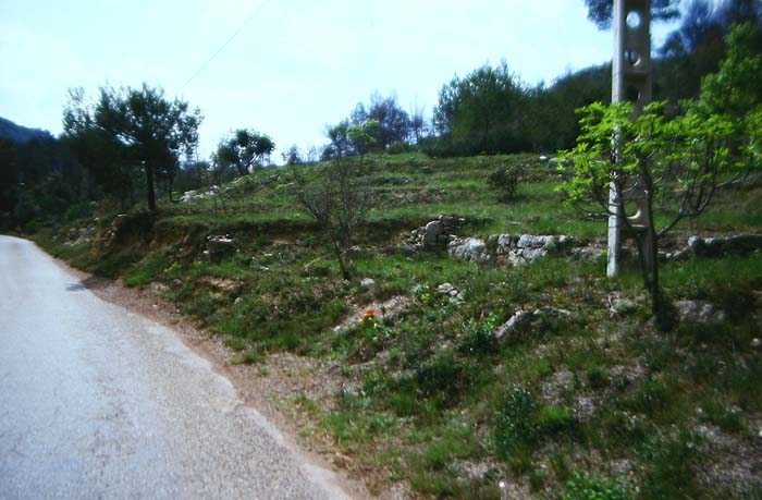 Lokalitet for Z. rumina. Cortignac, Provence. Medio maj 1987. Fotograf: Lars Andersen