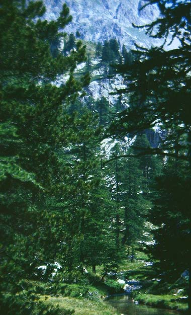 Lac Negre 2100 m.h. Alps maritime,Sydfrankrig. Juli 1988. Fotograf: Lars Andersen