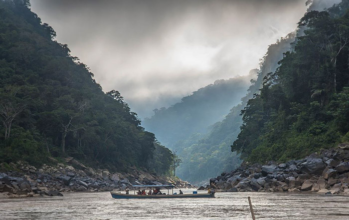 Corridor Arrojo Chepete, Rio Beni, Yungas, Bolivia d. 24 july 2017. Photographer; Gottfried Siebel