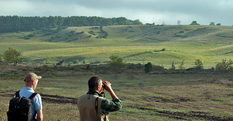 Klaus Jensen og Troells Melgaard skuer ud over lokaliteten for Hedepletvinge  Euphydryas aurinia. Snder Hje ved Brus, Lundby Hede, Nordjylland. d. 4 Juni 2011. Fotograf: Lars Andersen